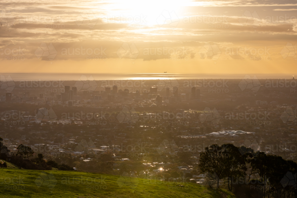 Sunset Silhouettes on Hill Overlooking Adelaide from Mount Osmond, South Australia - Australian Stock Image