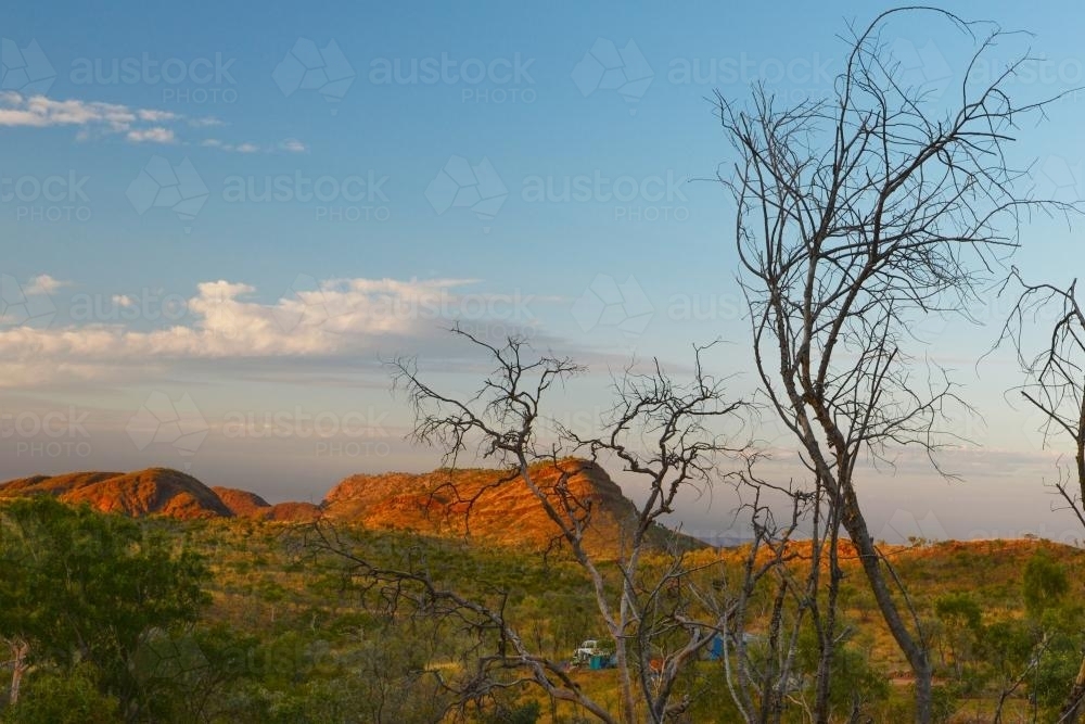 Sunset view of bald mountain range with dead tree in foreground - Australian Stock Image