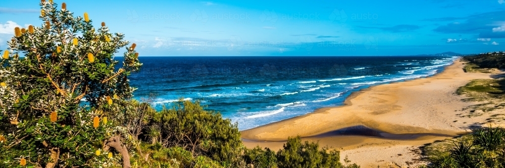 Sunshine Beach Panorama - Australian Stock Image