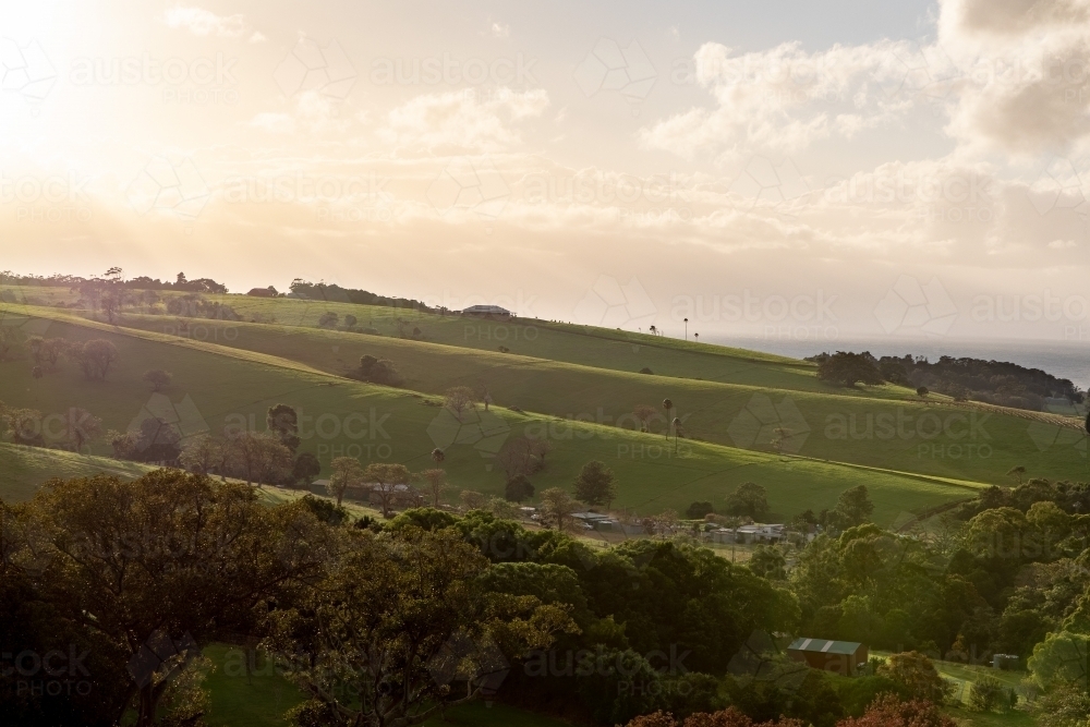 Sunshine Over Green Rolling Hillside - Australian Stock Image