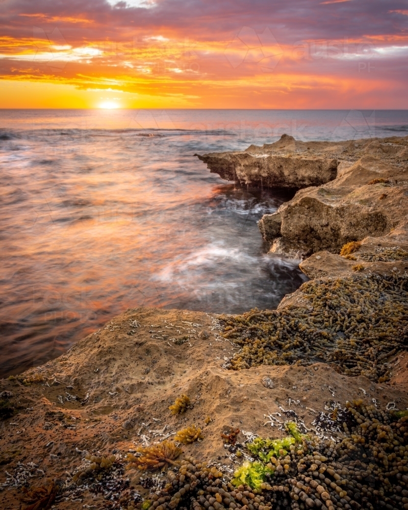Surf Coast Sunrise - Australian Stock Image