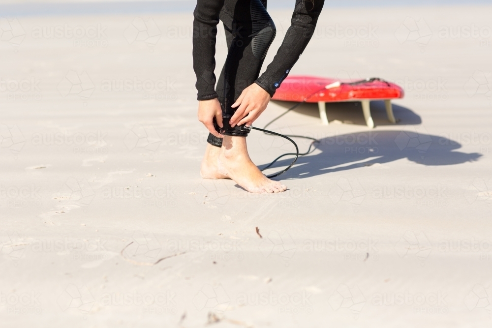 Surfer fastening ankle strap/leg rope with surfboard on the beach - Australian Stock Image