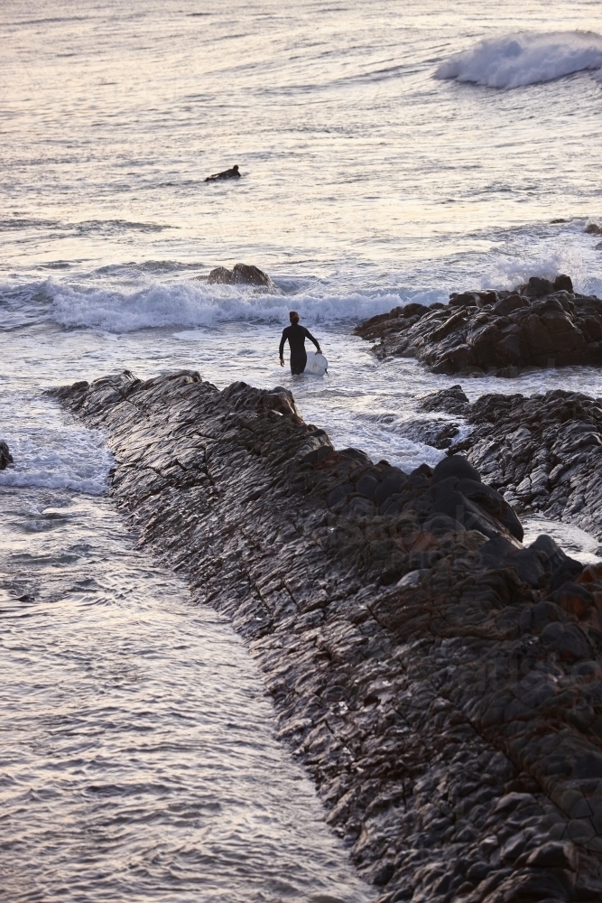 Surfer heading out off rocks in ocean on sunrise - Australian Stock Image