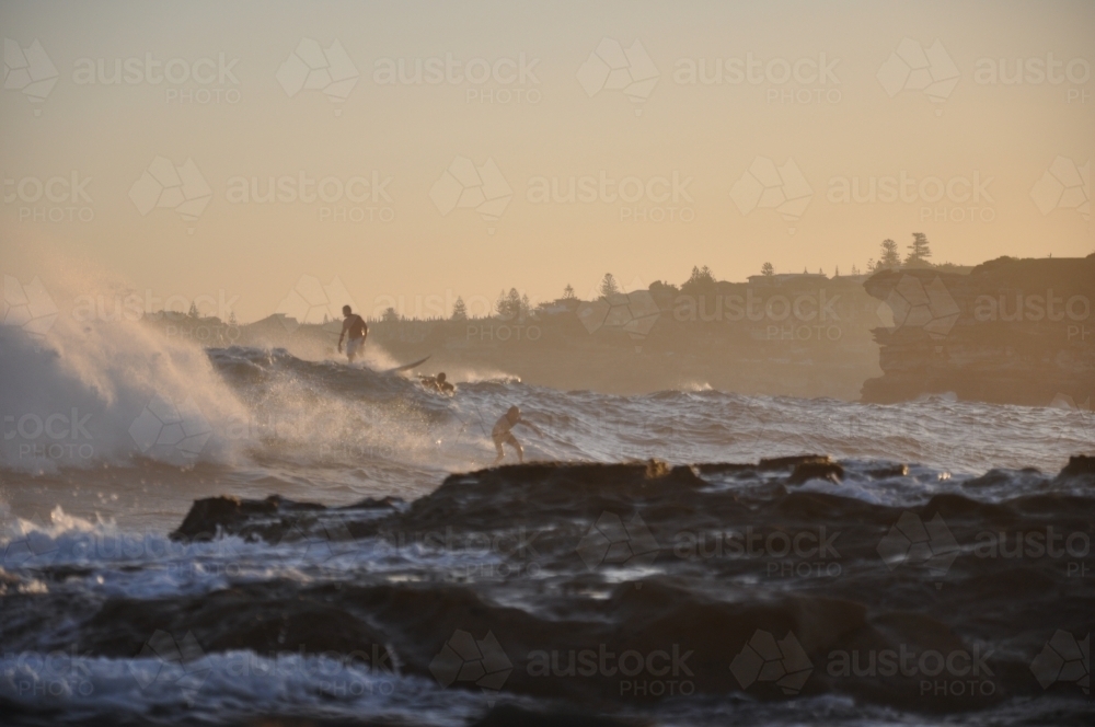 Surfer in golden light - Australian Stock Image