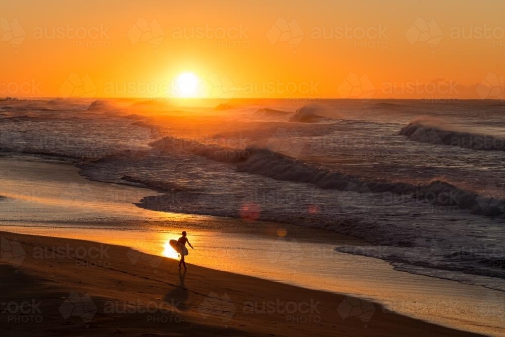 surfer walking along the beach at sunrise - Australian Stock Image