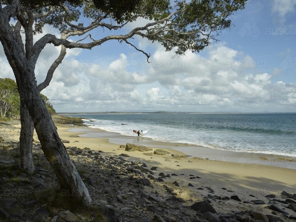 Surfers at water's edge - Australian Stock Image