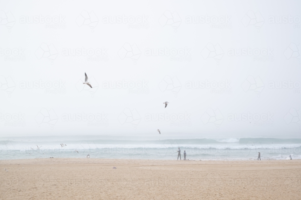 surfers enjoy the waves and the dense fog - Australian Stock Image