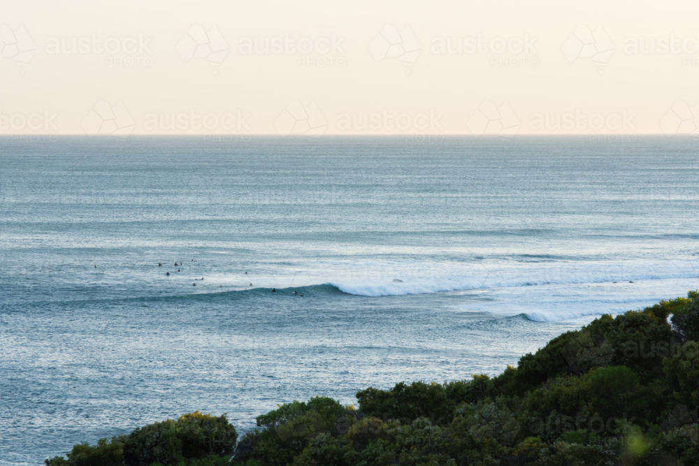 Surfers in the distance at sunset - Australian Stock Image