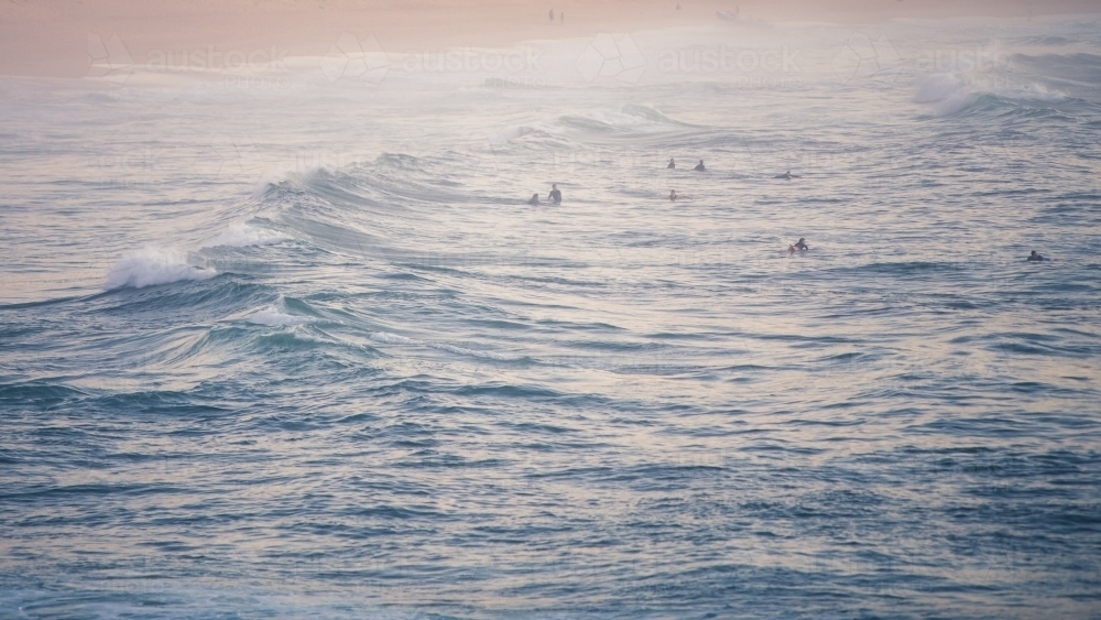 Surfers in the water waiting for a wave - Australian Stock Image