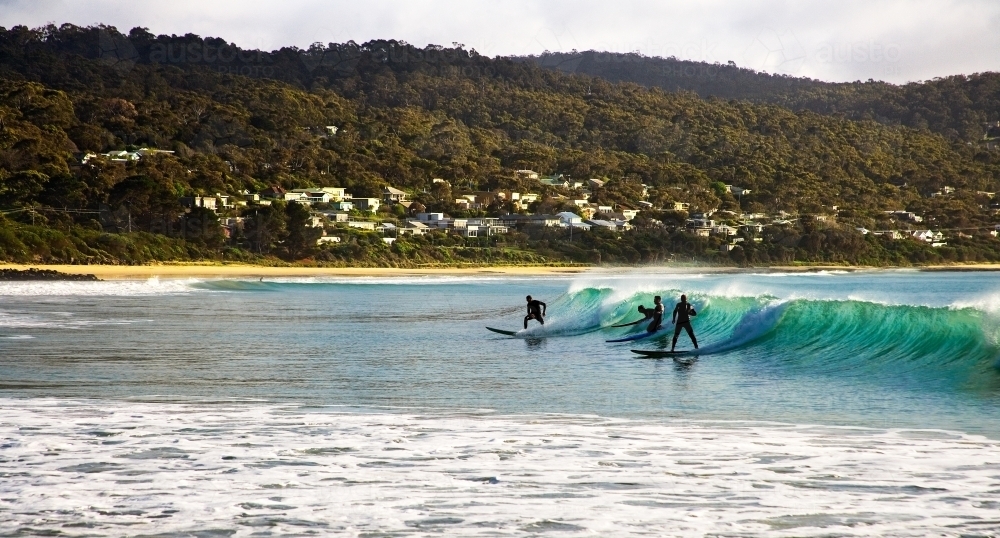 Surfers riding a break with houses and hills in background - Australian Stock Image