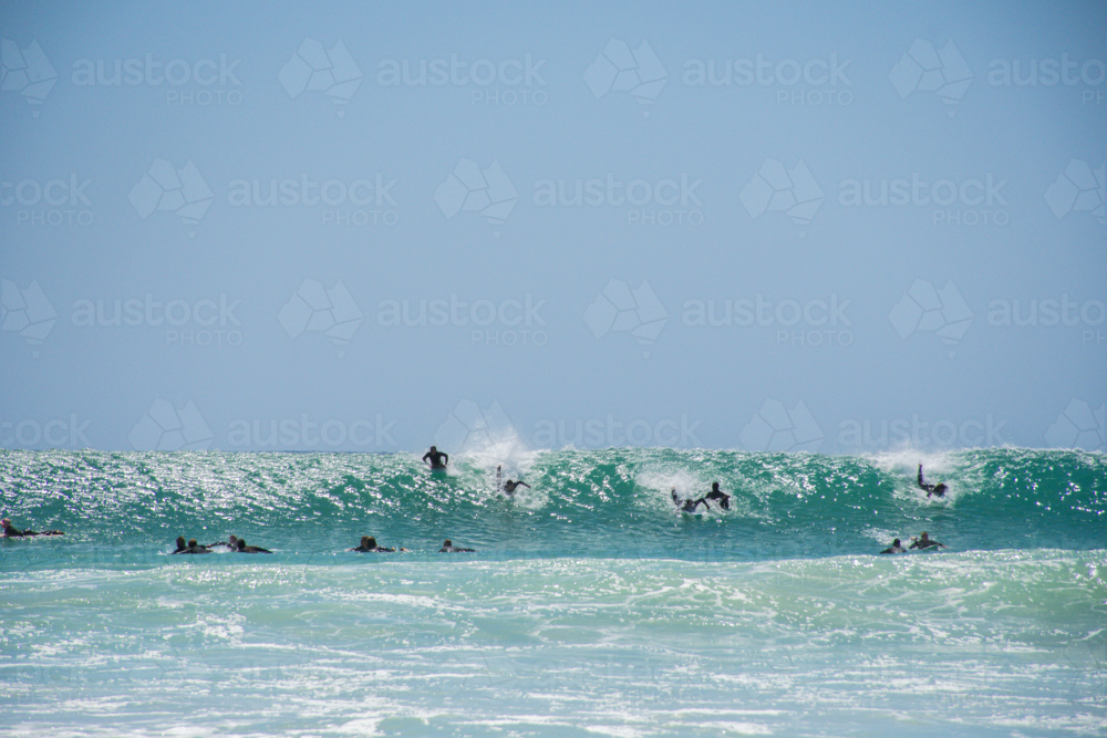 Surfers trying to catch a large wave on summer day - Australian Stock Image