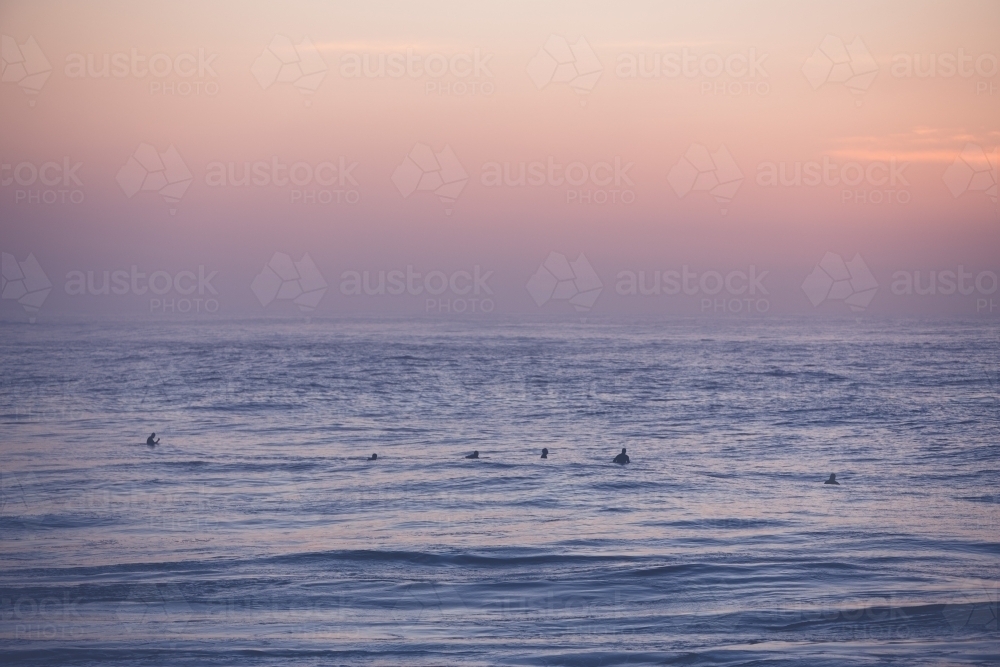 Surfers waiting for their wave at sunrise - Australian Stock Image