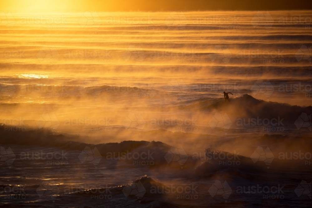Surfing at dawn in golden light - Australian Stock Image