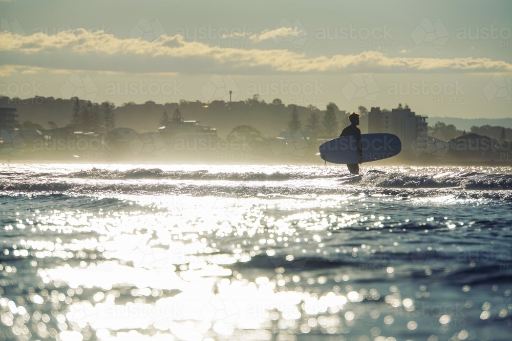 Surfing entering water at sunset - Australian Stock Image