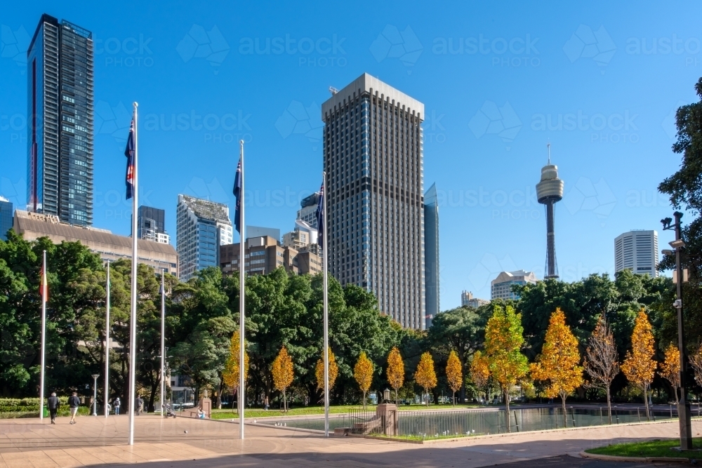 Sydney city skyline with tower as seen from Hyde Park in Autumn - Australian Stock Image