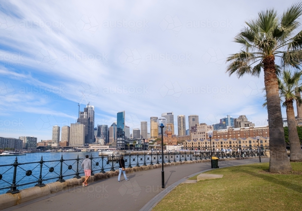 Sydney Foreshore with skyline in background - Australian Stock Image