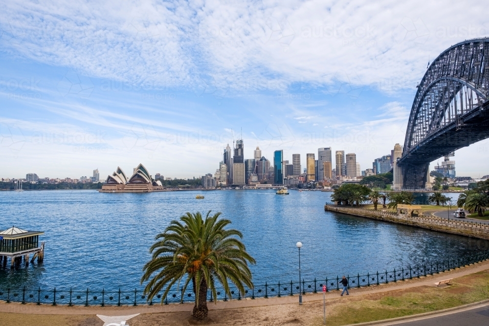 Sydney Harbour scene and Date Palm - Australian Stock Image