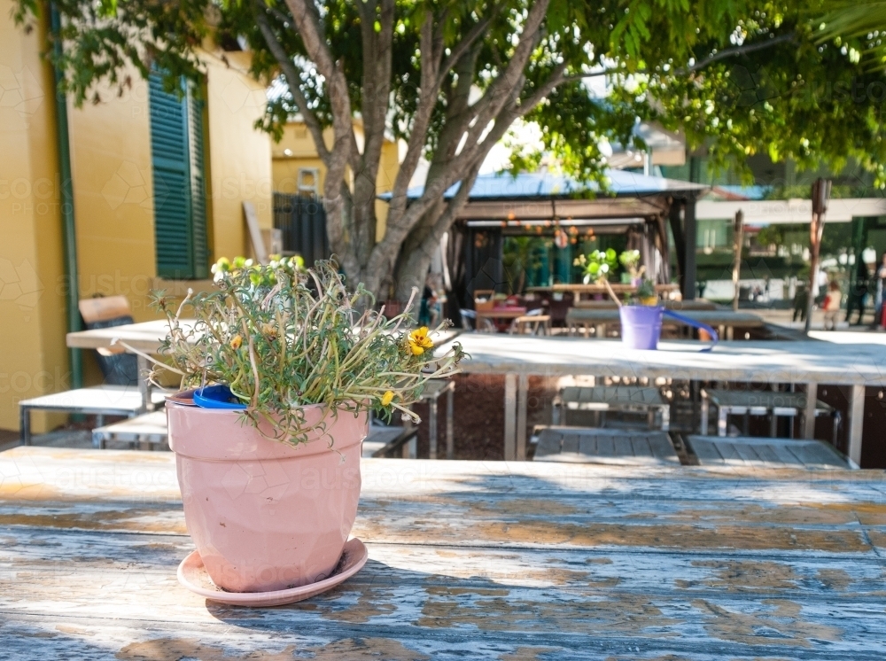Tables at an Outdoor Cafe with Plants - Australian Stock Image