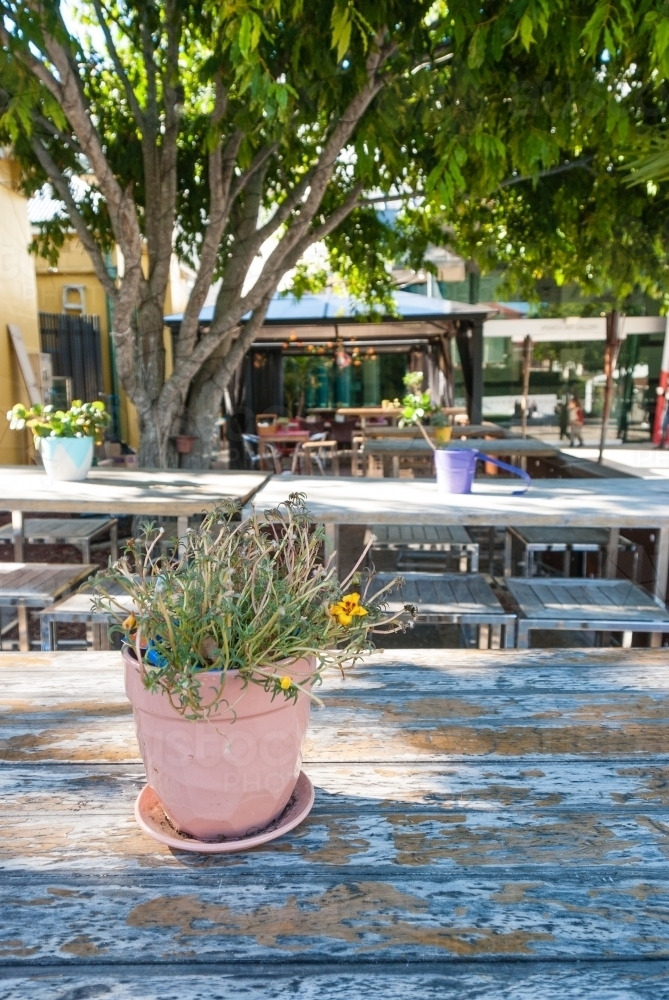 Tables at an Outdoor Cafe with Plants - Australian Stock Image