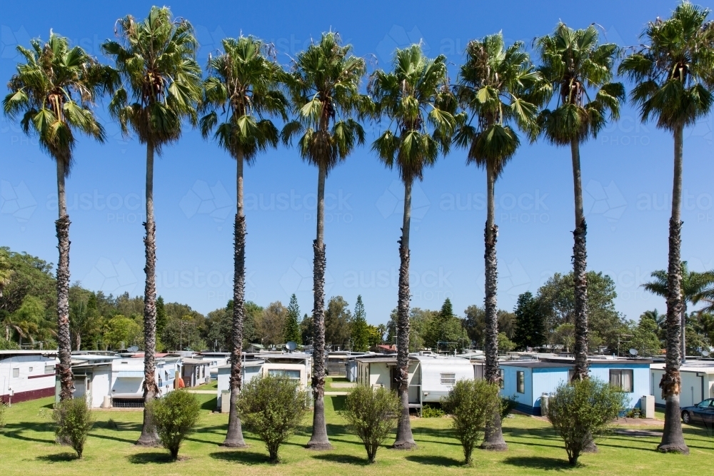 Tall palm trees and caravan park down the south coast of NSW - Australian Stock Image