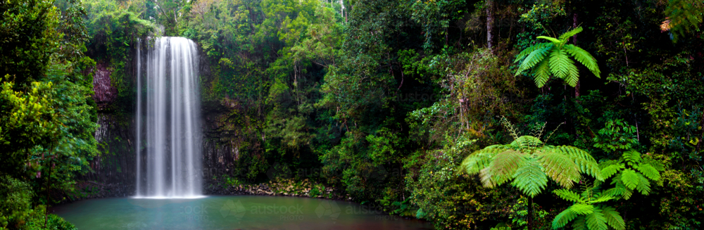 Image of Tall rainforest waterfall plunges into a calm green pool ...