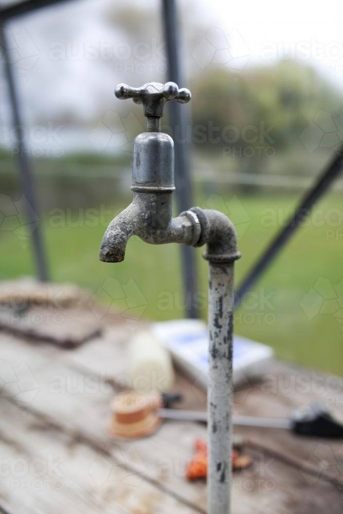 Tap in a greenhouse - Australian Stock Image