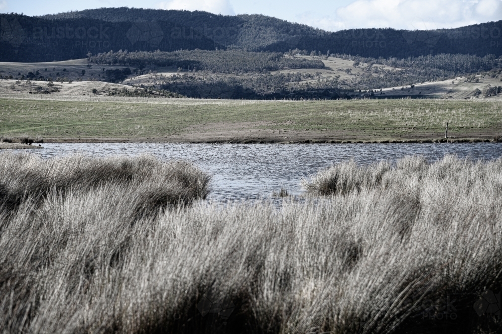 Tasmania wilderness with river and wild grasses landscape - Australian Stock Image