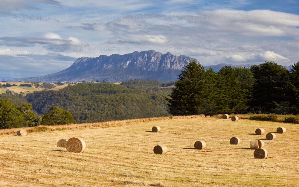 Tasmanian landscape with haybale paddock - Australian Stock Image