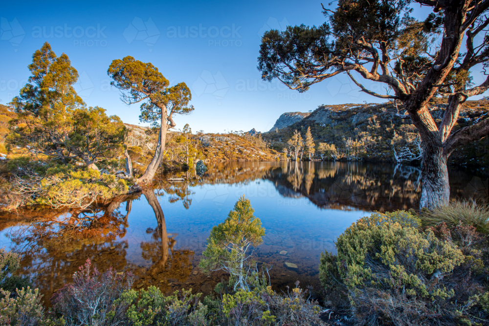 Tasmanian  Wilderness Reflections Cradle Mountain - Australian Stock Image