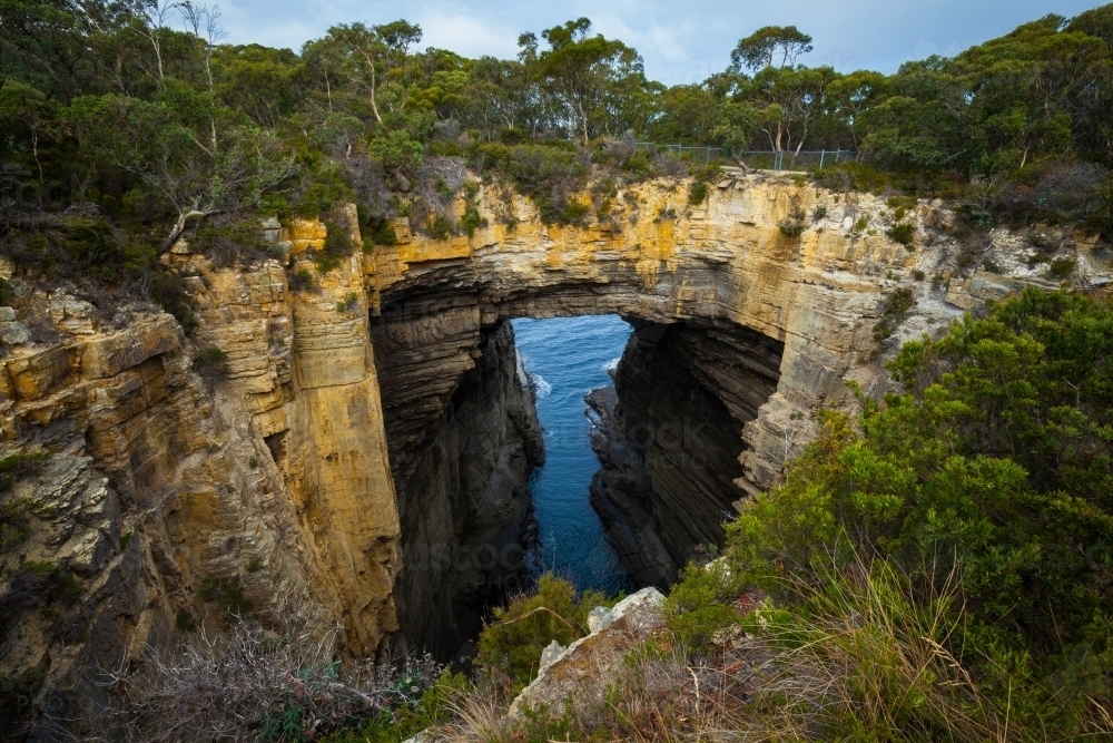 Tasmans Arch - Tasman National Park - Tasmania - Australian Stock Image