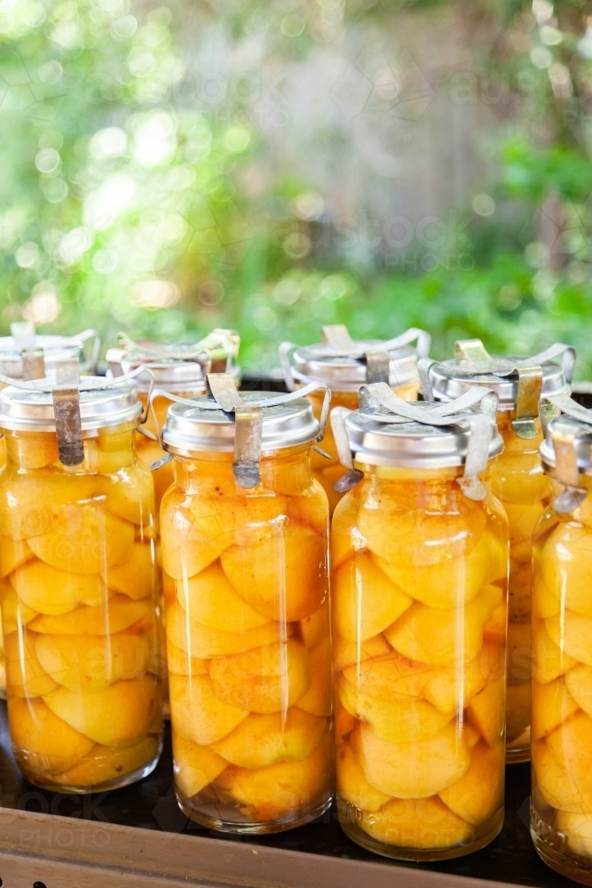 Image of Tasty fresh homemade preserved apricot fruit in glass jar
