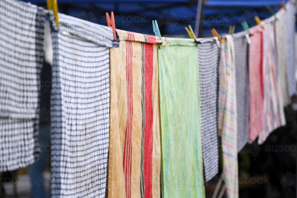 Tea towels drying on clothes line. - Australian Stock Image