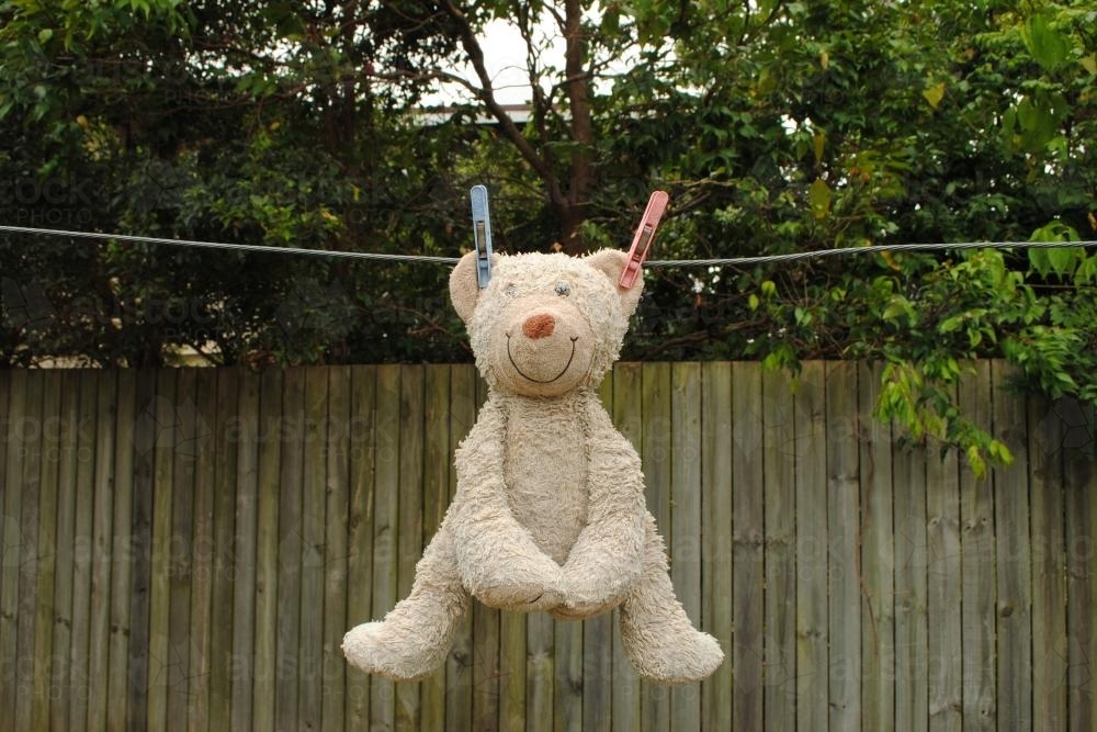 Teddy bear hanging on a washing line - Australian Stock Image