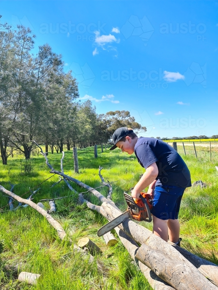 Teen boy cutting up tree with chainsaw on farm - Australian Stock Image