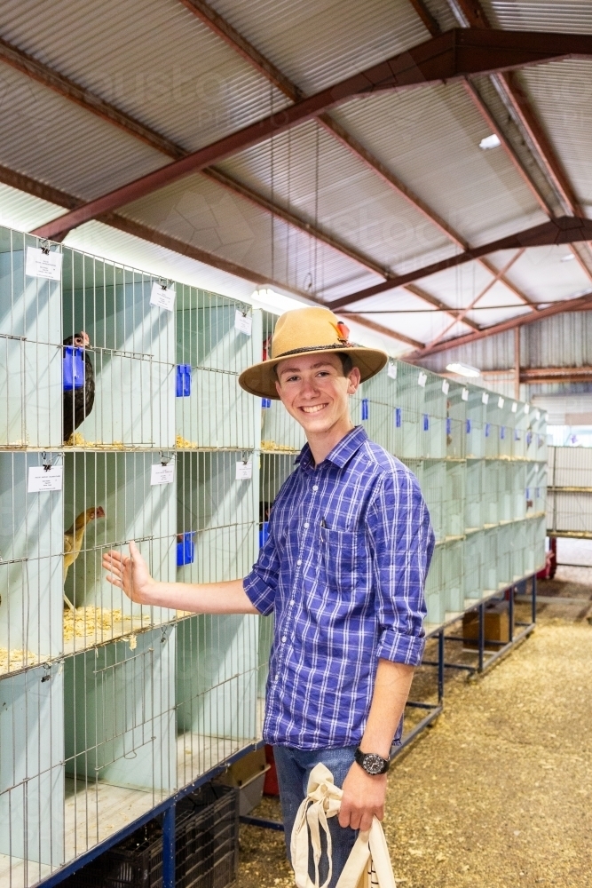 Teen boy in poultry shed with chooks at agricultural show - Australian Stock Image
