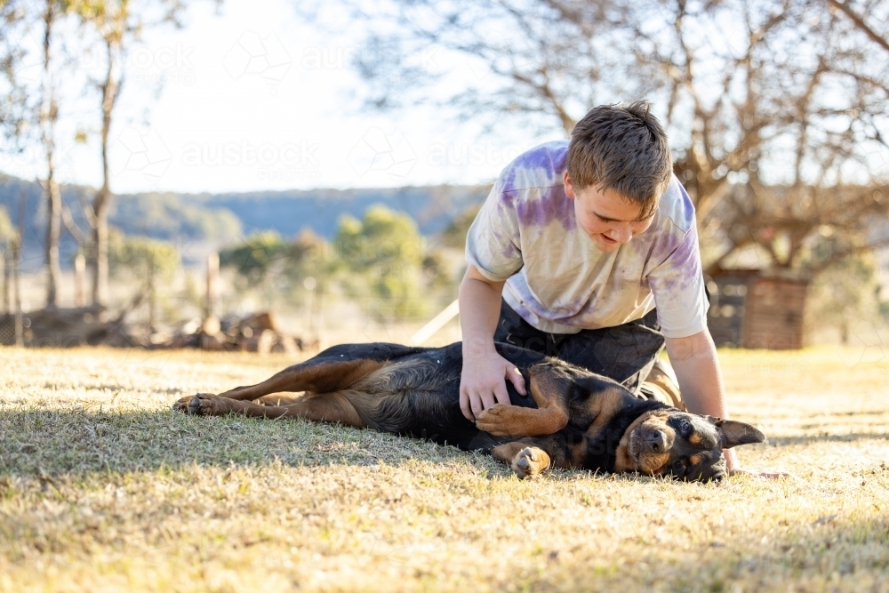Teen boy lying on grass with pet rottweiler dog - Australian Stock Image