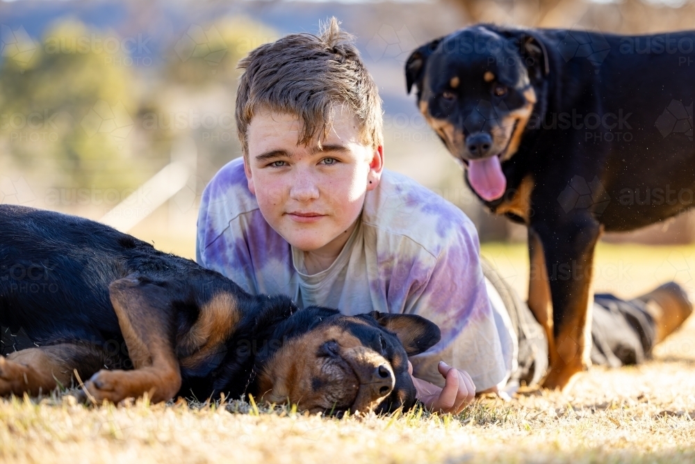 Teen boy lying on grass with pet rottweiler dogs - Australian Stock Image