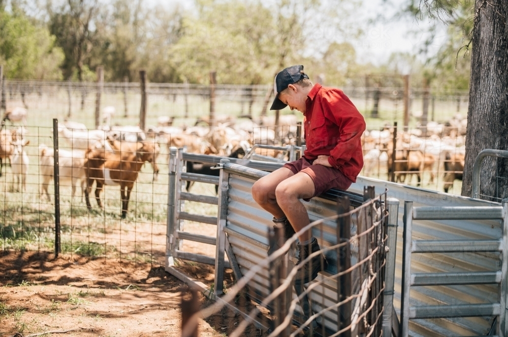 Teen Boy On Farm - Australian Stock Image