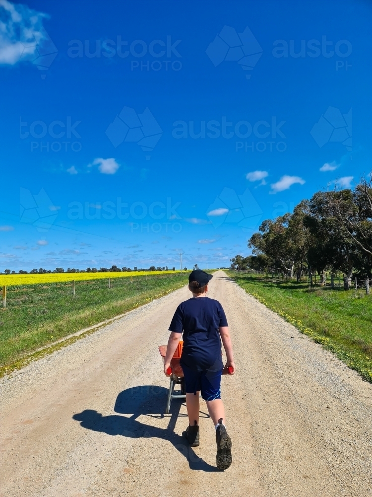 Teen boy pushing wheelbarrow down country road beside canola paddock - Australian Stock Image