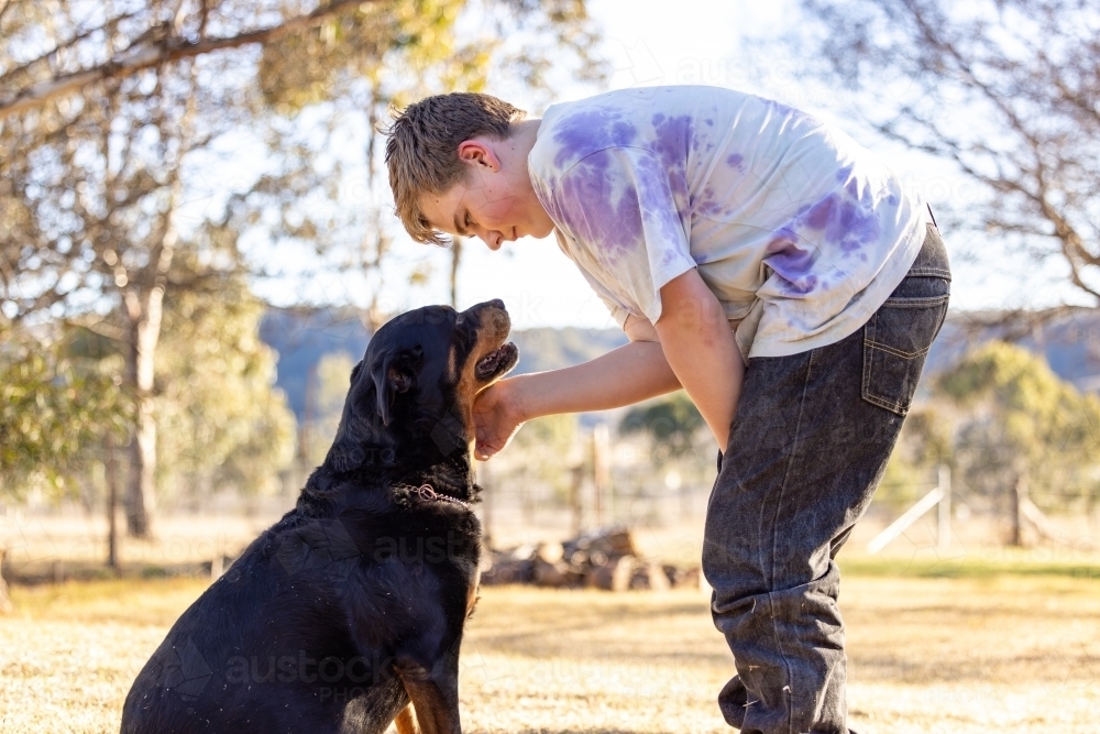 Teen boy showing affection to sitting rottweiler dog - Australian Stock Image