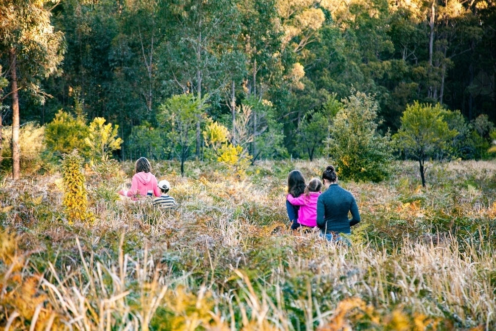 Teen cousins and younger siblings adventure through fern undergrowth in forest - Australian Stock Image