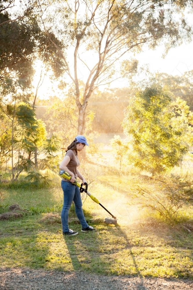 Teen girl cutting grass with whipper snipper in golden afternoon light - Australian Stock Image