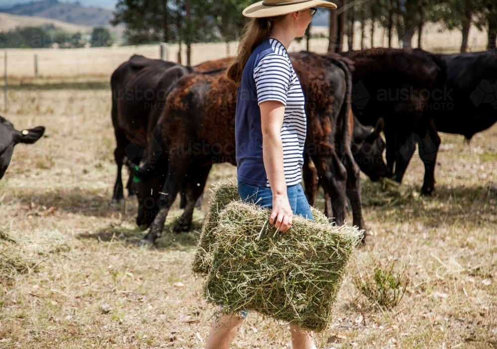 Teen girl feeding hay to livestock on a farm - Australian Stock Image