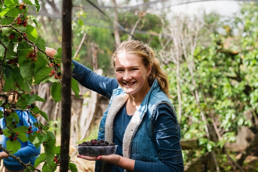teen girl picking mulberries - Australian Stock Image