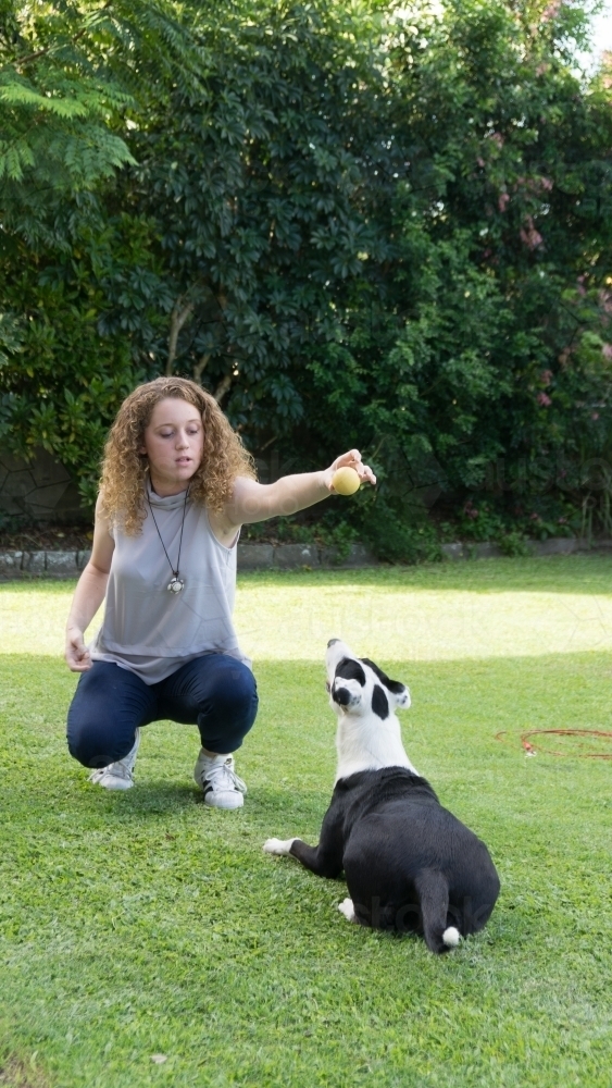 Teen girl playing ball with dog - Australian Stock Image