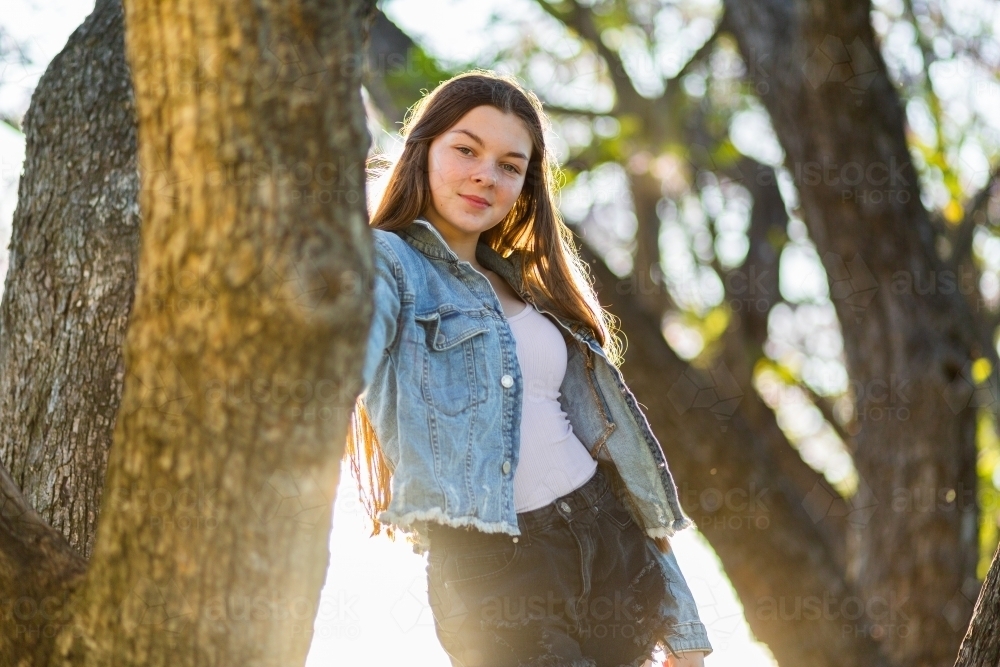 Teen girl standing in a tree backlit by golden light - Australian Stock Image