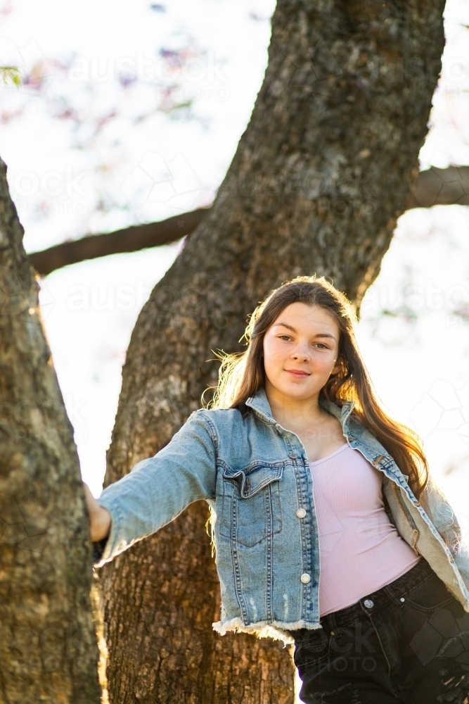 Teen girl standing in a tree backlit by golden light - Australian Stock Image