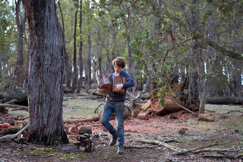 Teenage boy collecting firewood in the bush - Australian Stock Image