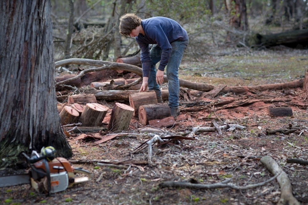Teenage boy collecting firewood logs - Australian Stock Image