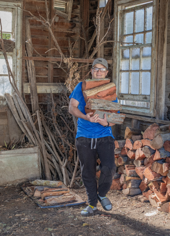 Teenage boy in blue shirt, carrying split wood in wood shed - Australian Stock Image